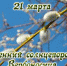 Весенний солнцеворот - Донская газета