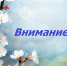 Сопротивляться вирусу и меняться к лучшему призывают тульских предпринимателей - Донская газета