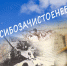 В Донском прошел виртуальный музыкальный марафон участников вокального челленджа #спасибозачистоенебо - Донская газета