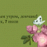 Доброе утро, дончане! - Донская газета