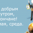 С добрым утром, дончане! - Донская газета