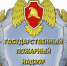 95 лет со Дня создания органов государственного пожарного надзора - МО г. Донской