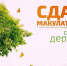 Всероссийский Эко-марафон Переработка «Сдай макулатуру – спаси дерево!» - МО г. Донской