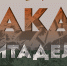 Выставочный проект "Закат Цитадели" - МК Бобрики
