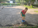 Краски лета