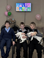 Усы, лапы, хвост
