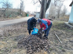 Субботник